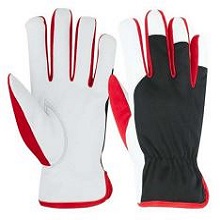 Supplier of ASSEMBLY GLOVES SUPPLIER IN UAE