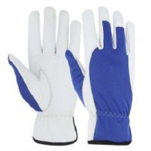 ASSEMBLY GLOVE SUPPLIERS IN DUBAI
