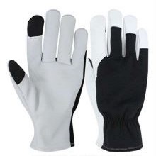ASSEMBLY GLOVE SUPPLIERS IN UAE