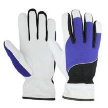 Supplier of CUT RESISTENCE GLOVES - SG - 1055 in UAE