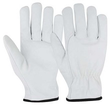Supplier of CUT RESISTENCE GLOVES - SG - 1059 in UAE