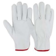 Supplier of DRIVING GLOVES - SG - 1061 in UAE