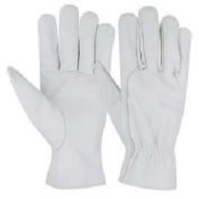 Supplier of DRIVING GLOVES - SG - 1066 in UAE