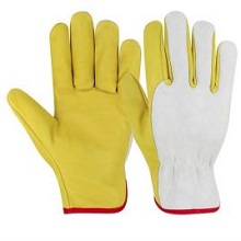 Supplier of DRIVING GLOVES - SG - 1069 in UAE